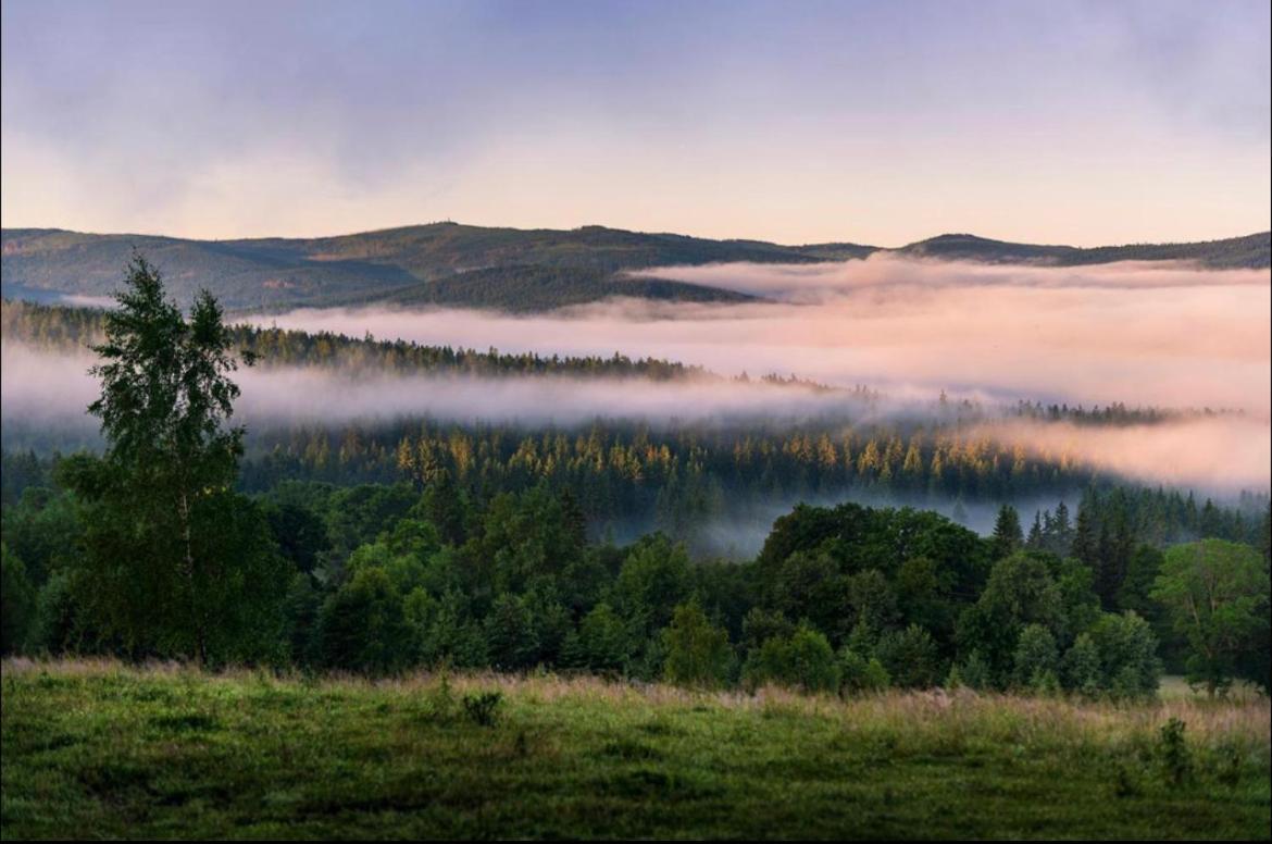 Appartamento Apartmán pod Jasanem Hojsova Stráž Brčálník Železná Ruda Esterno foto
