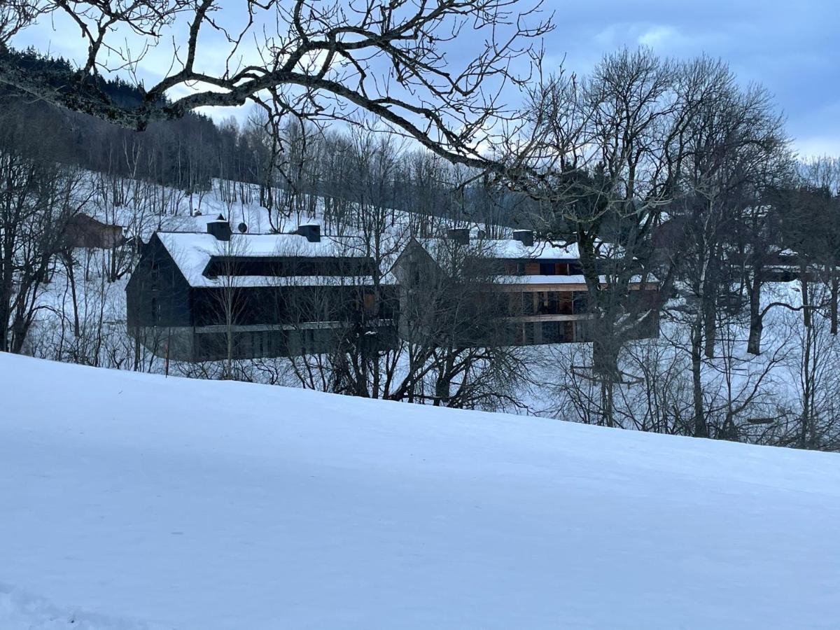 Appartamento Apartmán pod Jasanem Hojsova Stráž Brčálník Železná Ruda Esterno foto