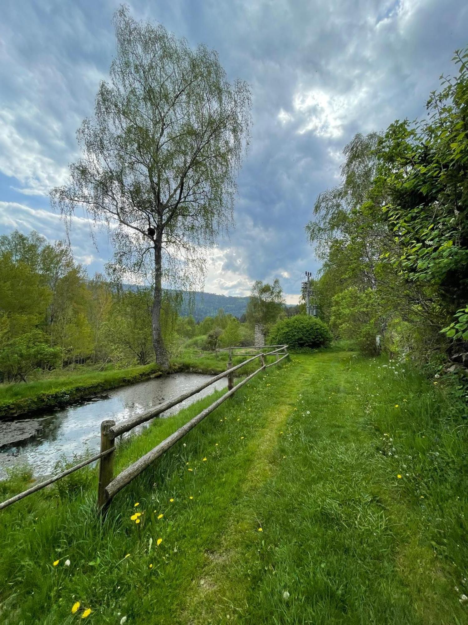 Appartamento Apartmán pod Jasanem Hojsova Stráž Brčálník Železná Ruda Esterno foto